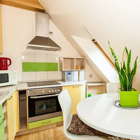 Didzioji Str Two-bedroom דירה *