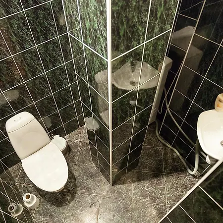 Didzioji Str Two-bedroom דירה *
