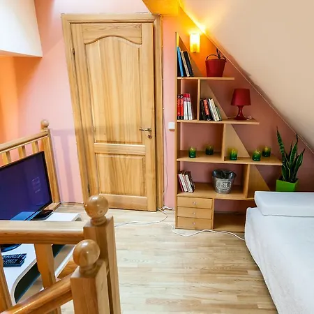 Didzioji Str Two-bedroom شقة